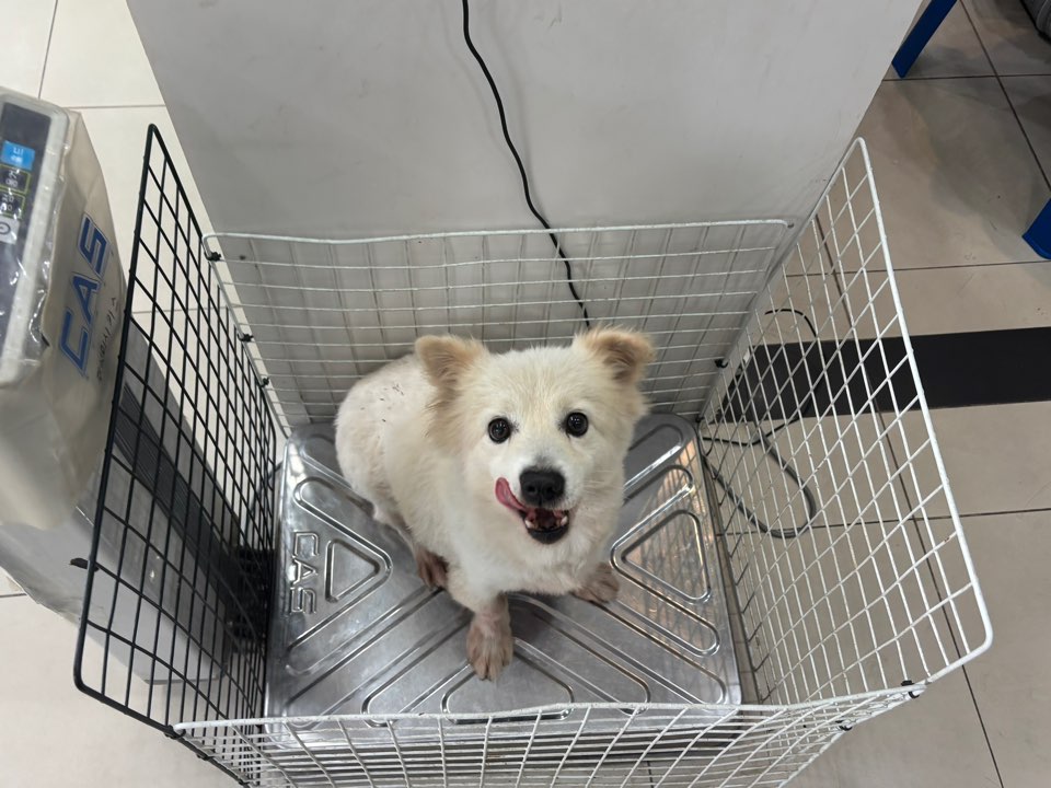 가정동물병원_428356202501491